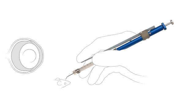 Intraocular-Injector-Syringe-Animation